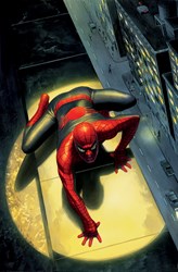 Spectacular Spider-Man by Marvel - Box Canvas sized 21x32 inches. Available from Whitewall Galleries